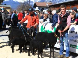 2019_ausstellung polling_329